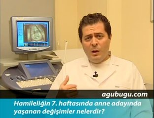 Hamileliğin 7. Haftası - Hafta Hafta Gebelik