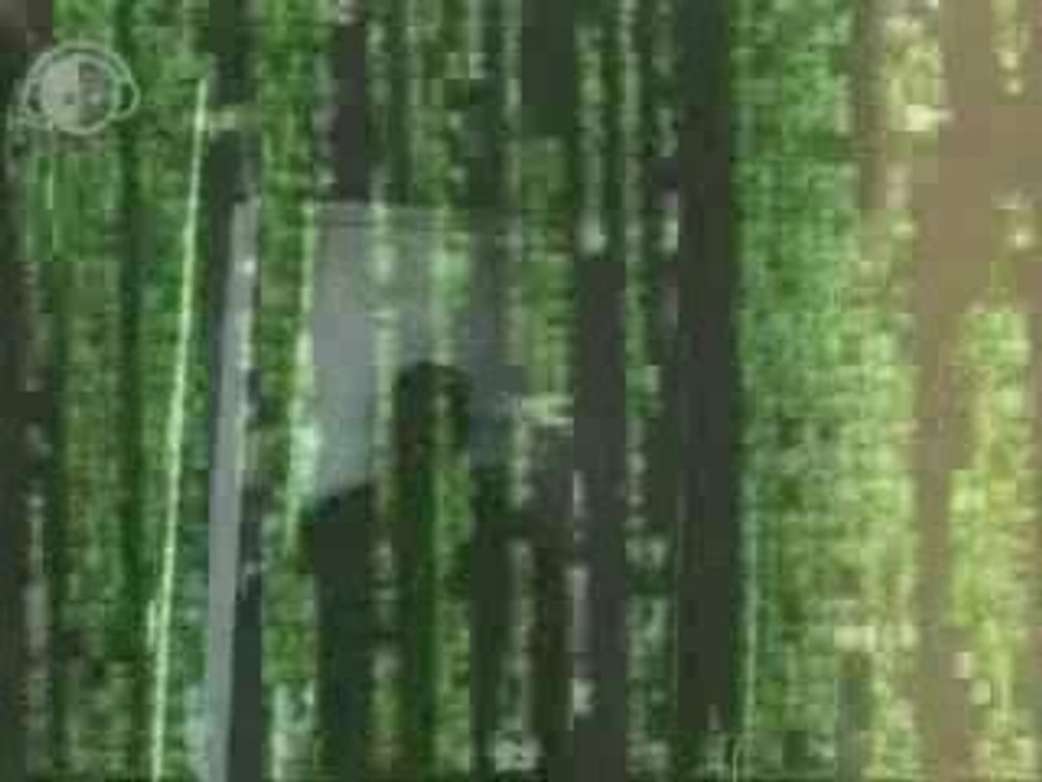 mon ptit delire a la   MANU....LOL