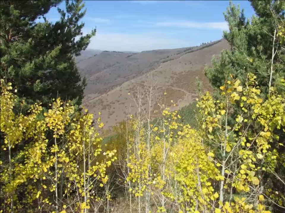 Aşağı Çayırlı Köyü