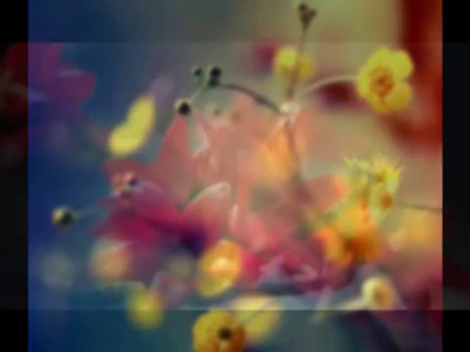 MİNE GEÇİLİ-NAZLI BİR ÇİÇEK GİBİ