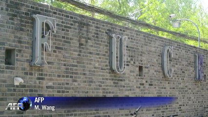 Exposition géante Ai Weiwei à Berlin, en l'absence du dissident
