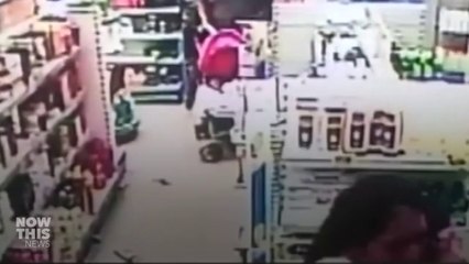 Are Americas Bison Fleeing A Super Volcano?