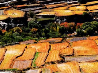 Grand Tour des Annapurnas (simon)