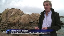 Uruguai, santuário de focas e leões marinhos