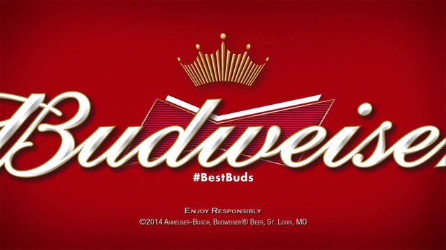 Budweiser Super Bowl XLVIII Commercial Puppy Love