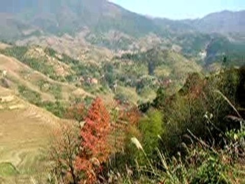 Rizières en terrasses de Longji - 1