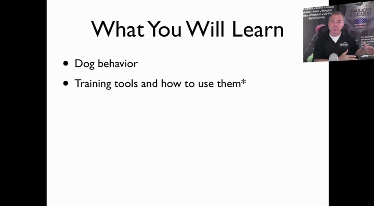 Train the Dog Trainer Elite 2.0 - Falco K9