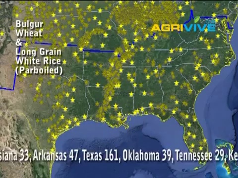 International Wheat Trade Companies, International Wheat Trade Company, International Wheat