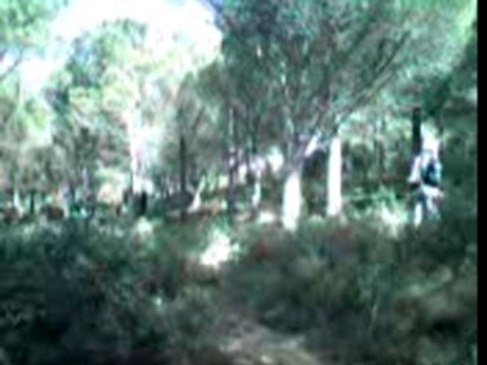 Raph.road gap
