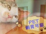 仲介手数料無料「ベルポート新座駅前」PET飼育可能マンション★おうちナビ★リフォーム済み