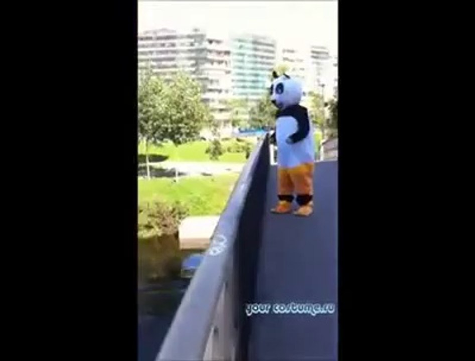 Combat plutôt fun : Mascotte contre gars bourré!