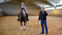 Présentation reining Haras du Pin Jeux Equestres Mondiaux