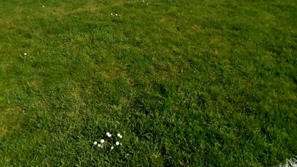 MATCH U15 PSV RICHARDMENIL