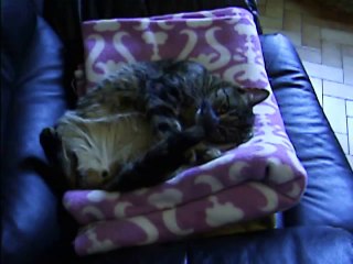 Babylone fait la grande toilette