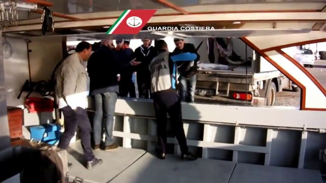 Sicilia - Guardia Costiera, sequestrati 3.200 Kg di pesce spada (03.04.14)