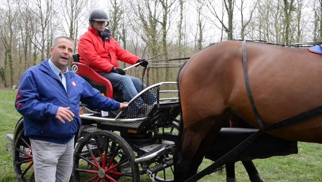 Présentation de l'attelage au haras du Pin