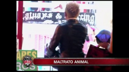 Enemigos Públicos: ¿Se debe penalizar el maltrato a los animales?
