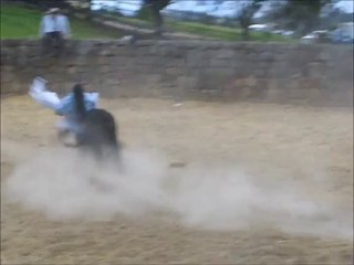 Meksikalı Çift ve Boğa