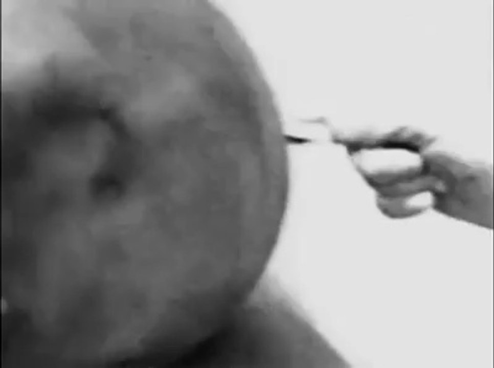 Uzaylılar - Uzaylı Otopsisi | Rosswell Ufo Kazası 1947