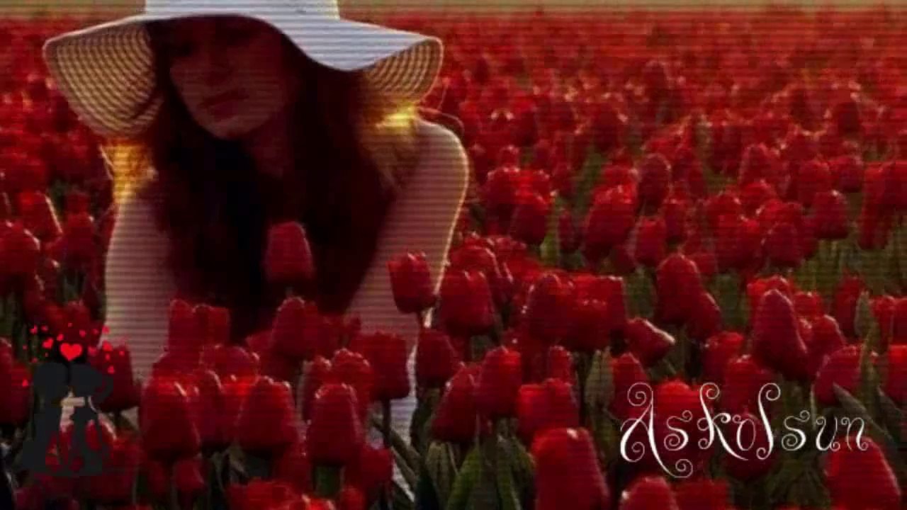 Mirkelam - Ahu Gözlüm