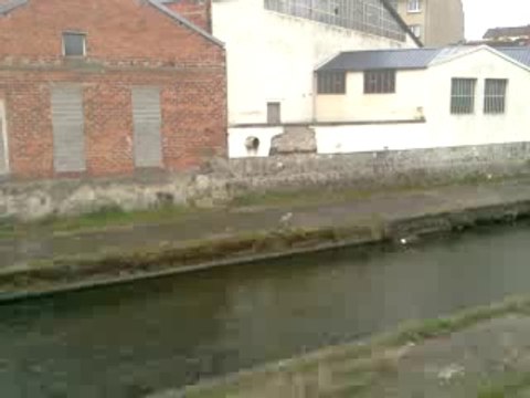 Vidéo0221 Héron cendré sur la berge bétonné du sichon a vichy