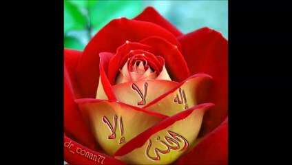 HER TÜRK ASKER DOĞAR