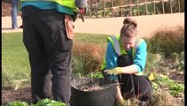 El Parque Olímpico de Londres, nueva atracción turística