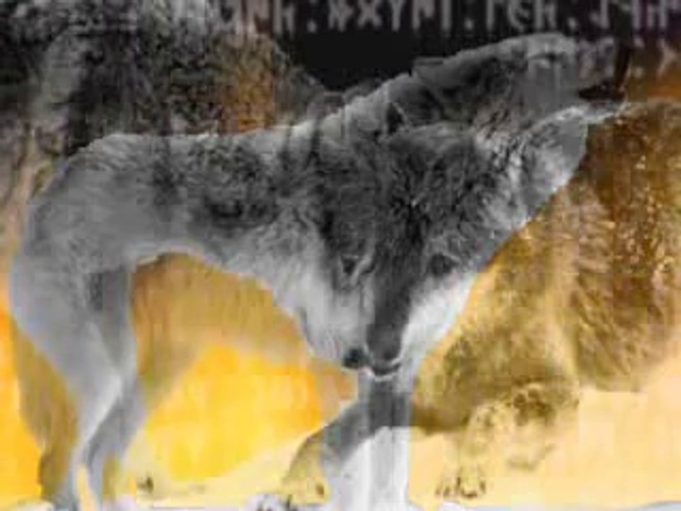 yeni dombıra bozkurt kardesligi  tek yol turan  dombira