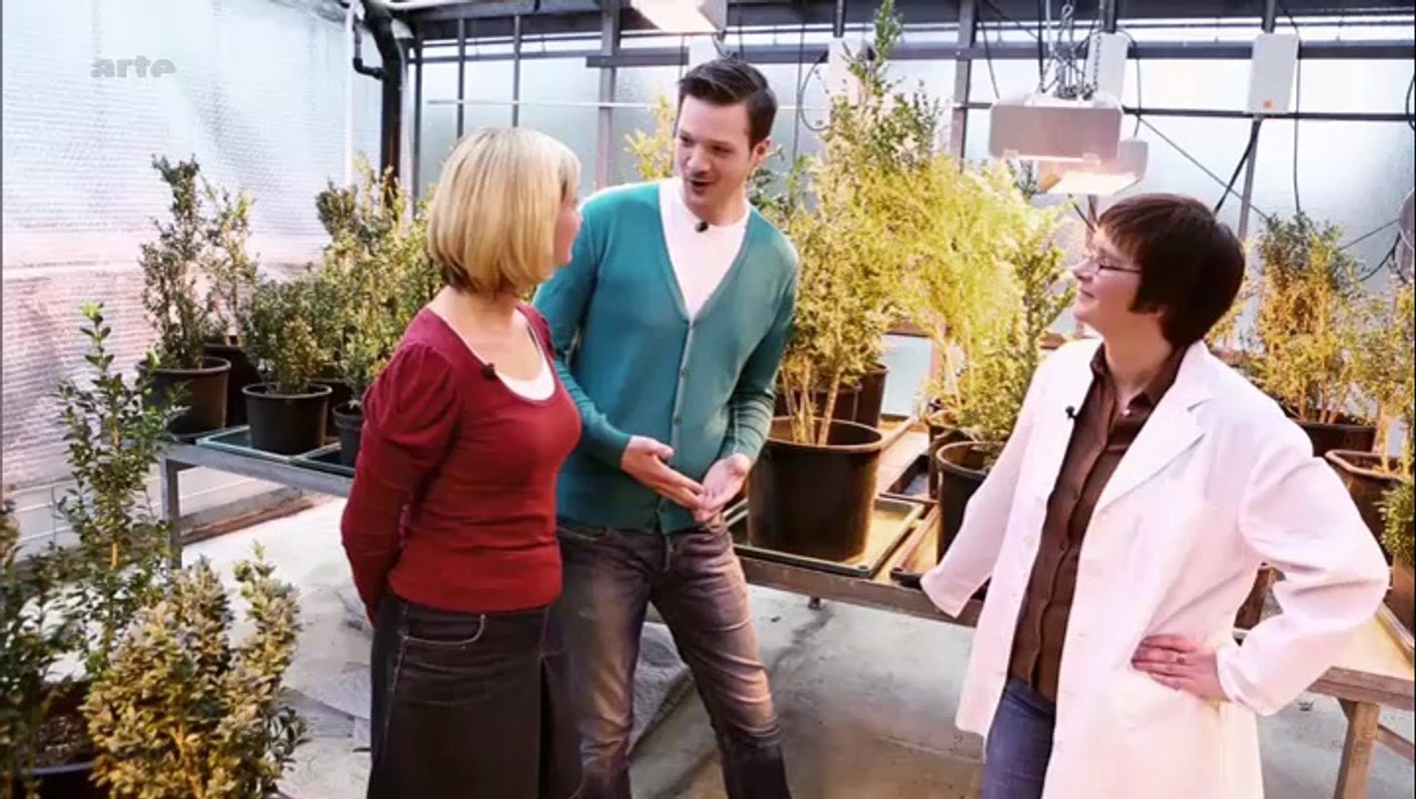 Les insectes utiles dans les jardins et dans l’agriculture