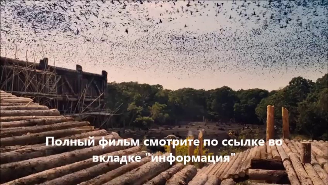 НОЙ (online-video-cutter.com)