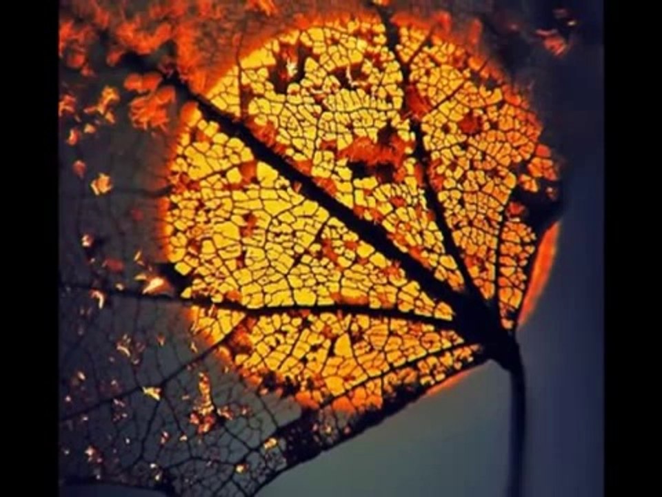 Zeki müren - gayrı dayanamam ben bu hasrete