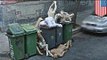 April Fools prank turns out to be suicidal senior's body thrown in dumpster