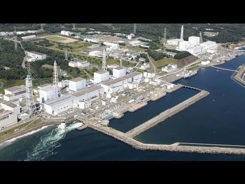 IAEA suggests Fukushima to discharge radioactive water into ocean