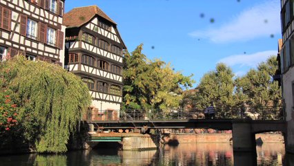 La récolte des asperges