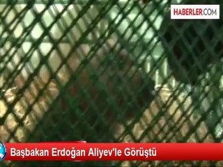 Başbakan Erdoğan Aliyev'le Görüştü
