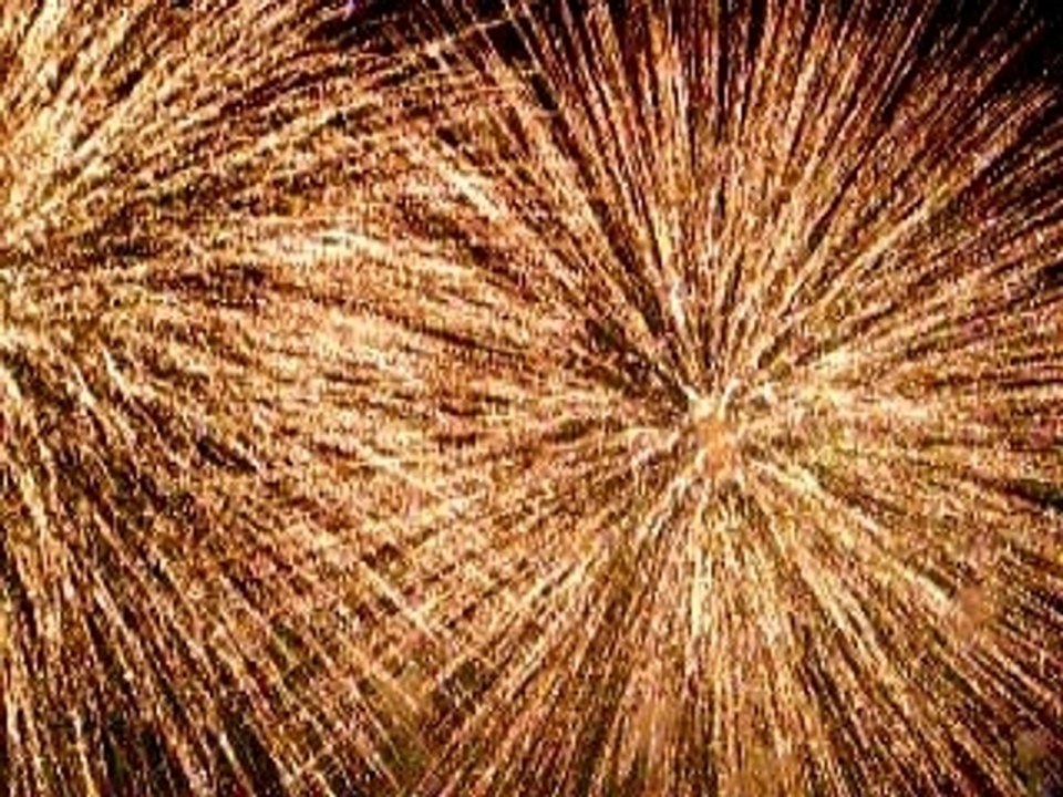 Feliz 2007