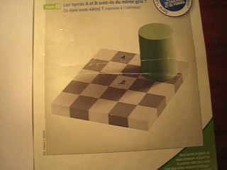 Nuances de gris ? (l'échiquier d'Adelson)