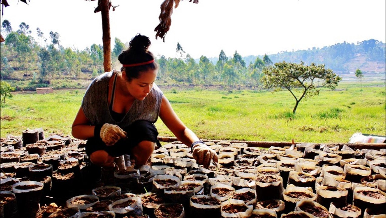 Vidéo présentation Phénix inscrivez vous à nos prochaines conférences