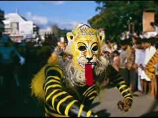 Kerala gOD'S OWN COUNTRY