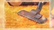 Carpet Cleaning Service, Steam Cleaning Service, Residential Carpet Cleaning, Rug Cleaning, Carpet Services