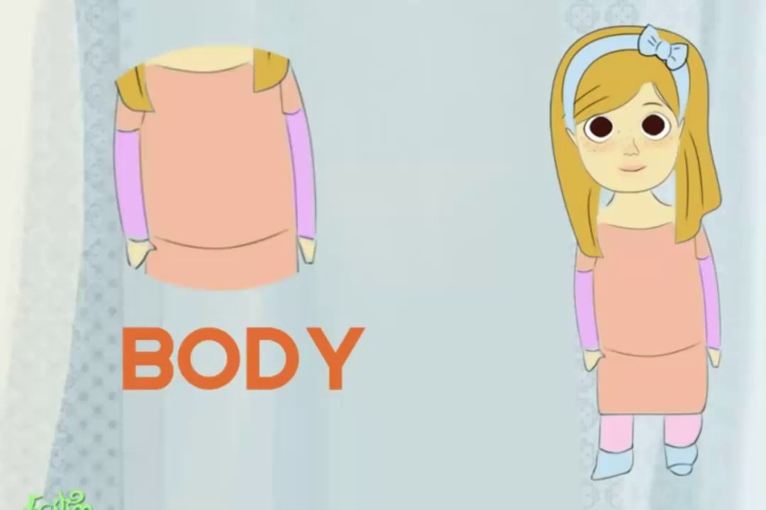 Our Body