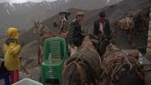 Donkeys carry ballot boxes to villages for Afghan vote