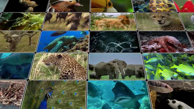 3- Hudus delili (Yaratılış Delilleri)