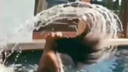 Kim Kardashian Hair Flip Video Recreated in Hilarious Instagram Spoof