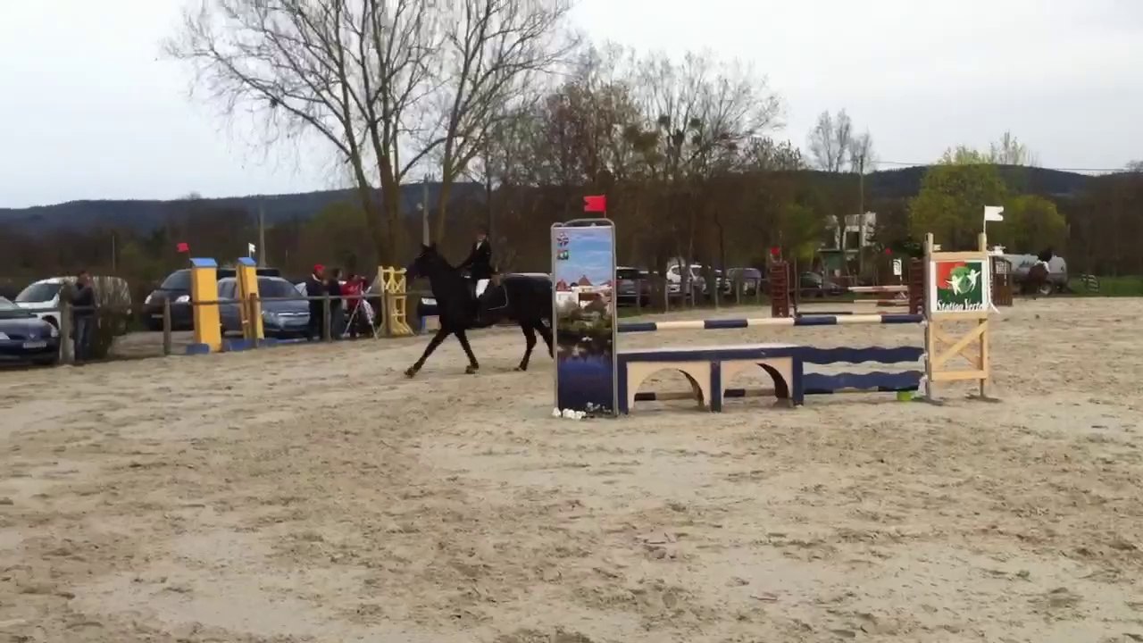 Mobile Capture Mar 31, 2014