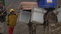 Donkeys transport ballot boxes for Afghan elections