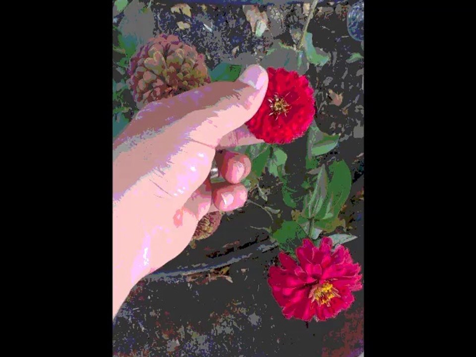 Selçuk Küpçük | Tebessüm Provaları