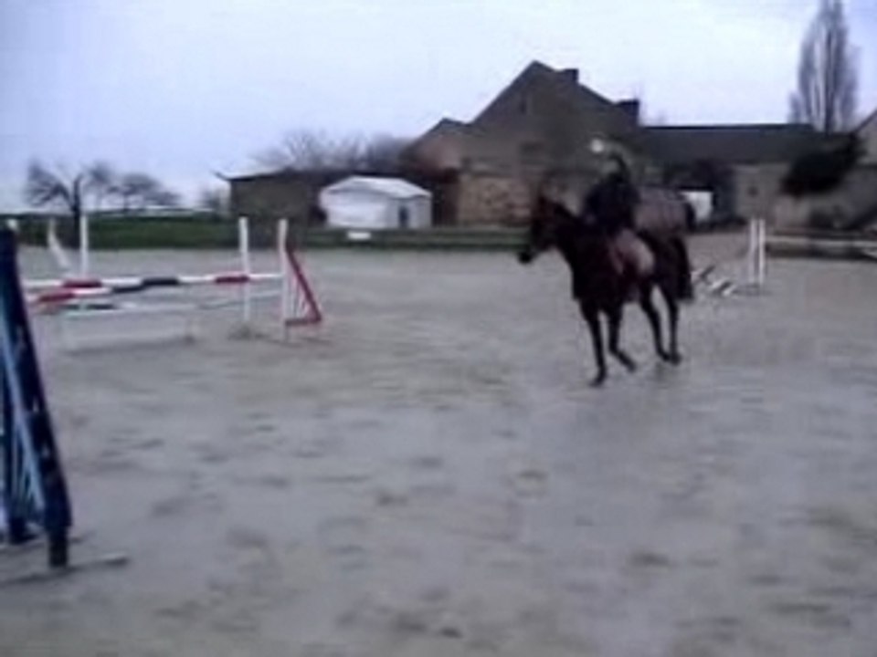 Saut