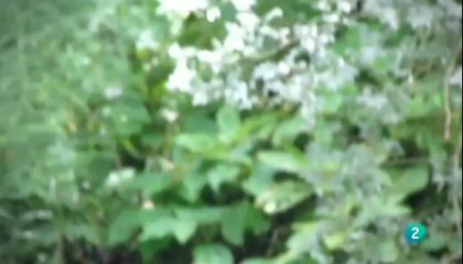 El documental - Paciente 2.0, El documental - RTVE.es A la Carta