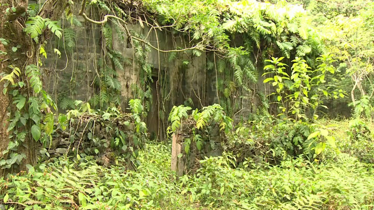 Exploradores Urbanos